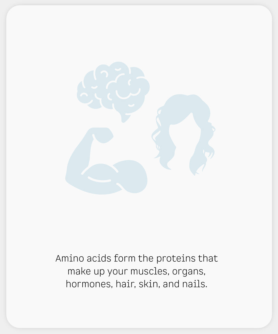 Amino acids form the proteins that make up your muscles, organs, hormoes, hair, skin, and nails.