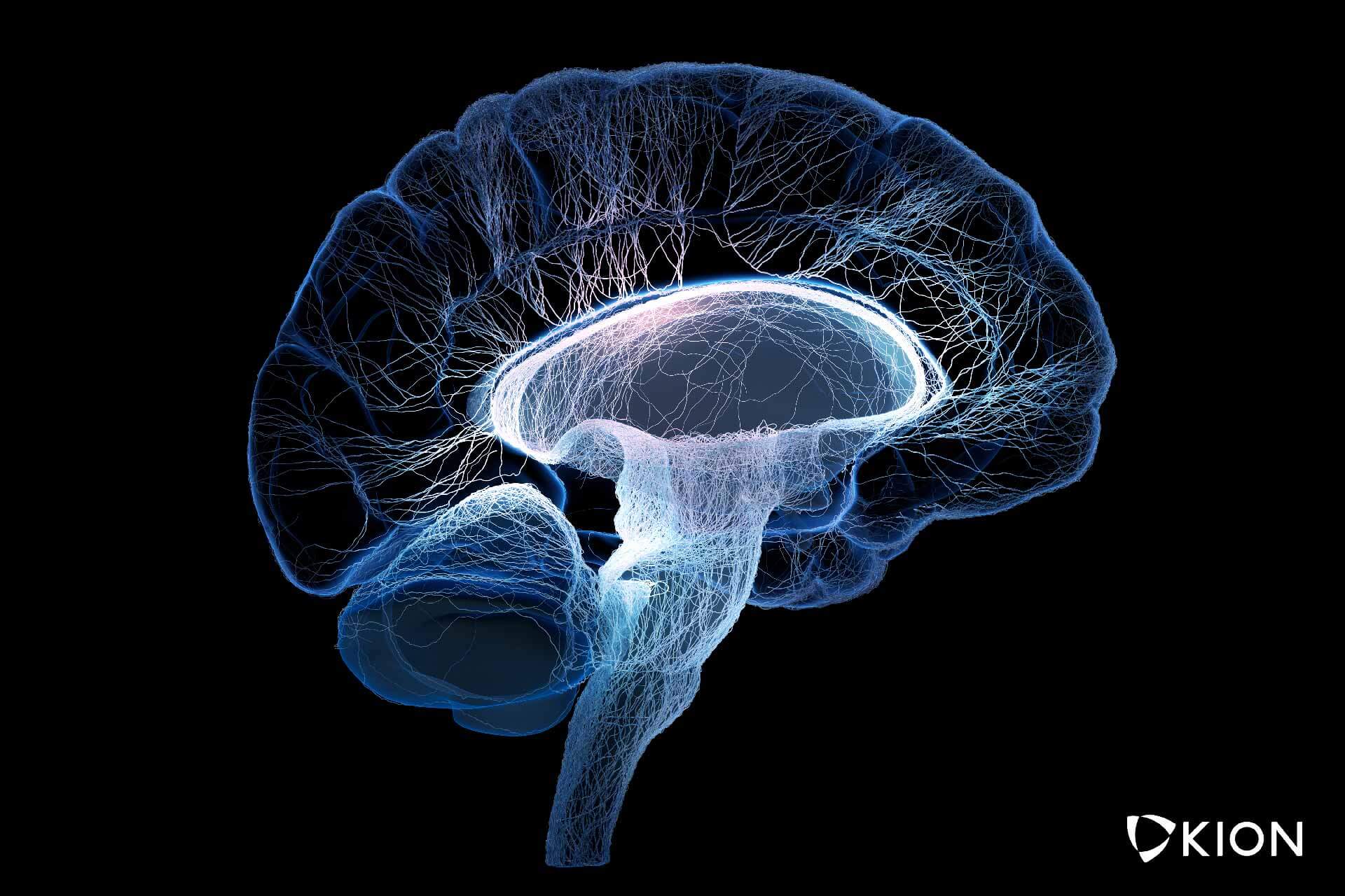 What Is A Leaky Brain And How Do You Fix It?