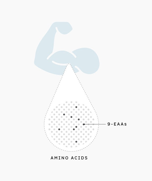 Essential amino acids supplement diagram